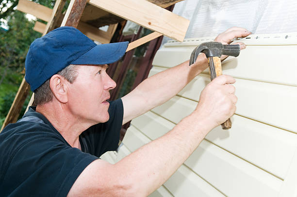 Best Siding Repair  in Jonesborough, TN