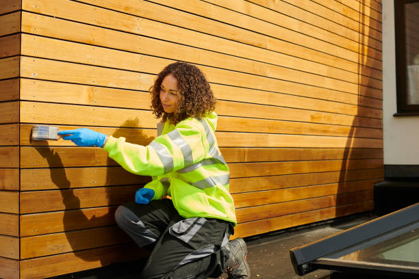 Best Stone Veneer Siding  in Jonesborough, TN